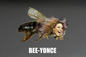 Join the Beyhive for Endangered Bees